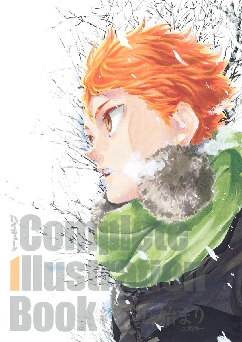 Artbook Haikyuu!