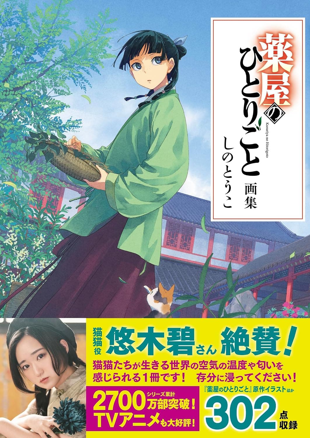 Artbook Diários De Uma Apotecária
